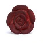 Rosa Aromatica SEVENGOD - Imagen 2