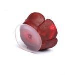 Rosa Aromatica SEVENGOD - Imagen 3